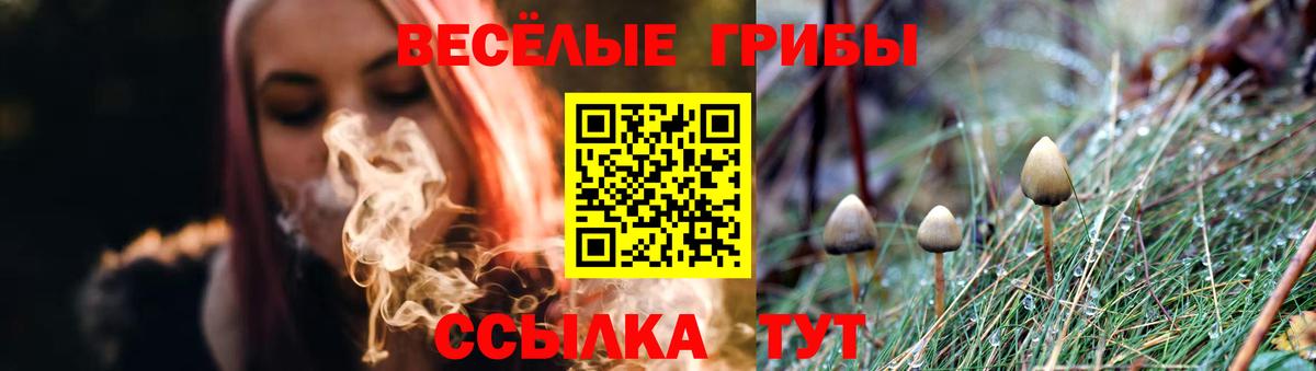 Артёмовский  Галлюциногенные грибы GOLDEN TEACHER  Вход с VPN 